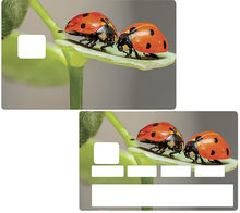 Charger l'image dans la galerie, les coccinelles - Sticker pour carte bancaire, disponible en deux formats.