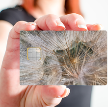 Charger l'image dans la galerie, Fleur de pissenlit - sticker pour carte bancaire, 2 formats de carte bancaire disponibles