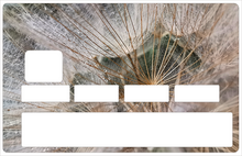 Charger l'image dans la galerie, Fleur de pissenlit - sticker pour carte bancaire, 2 formats de carte bancaire disponibles