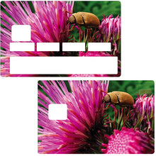 Load image into Gallery viewer, Chardons et insectes - Sticker pour carte bancaire, disponible en deux formats.