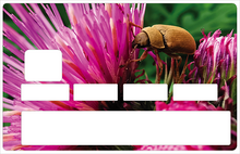 Load image into Gallery viewer, Chardons et insectes - Sticker pour carte bancaire, disponible en deux formats.