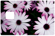 Charger l'image dans la galerie, Les marguerites - Sticker pour carte bancaire, disponible en deux formats.