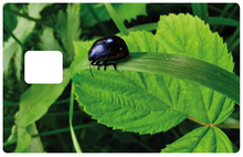 Charger l'image dans la galerie, La nature au printemps - Sticker pour carte bancaire, disponible en deux formats.