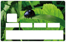 Charger l'image dans la galerie, La nature au printemps - Sticker pour carte bancaire, disponible en deux formats.