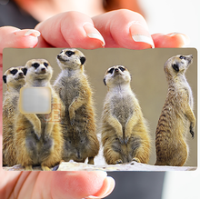 Load image into Gallery viewer, Les Suricates - Sticker pour carte bancaire, disponible en deux formats.
