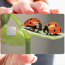Charger l'image dans la galerie, les coccinelles - Sticker pour carte bancaire, disponible en deux formats.