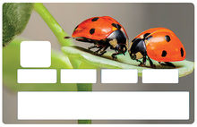 Charger l'image dans la galerie, les coccinelles - Sticker pour carte bancaire, disponible en deux formats.