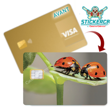 Charger l'image dans la galerie, les coccinelles - Sticker pour carte bancaire, disponible en deux formats.