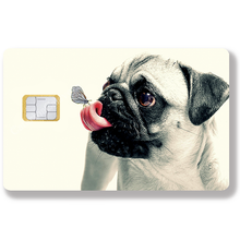 Lade das Bild in den Galerie-Viewer, Mops - Bankkartenaufkleber, US-Format