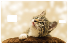 Charger l'image dans la galerie, Sticker personnalisé pour carte bancaire Amex, avec votre image préférée