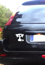 Load image into Gallery viewer, Chat de rue, disponible en 10 couleurs