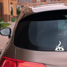 Charger l'image dans la galerie, Chat joueur, disponible en 10 couleurs