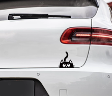 Charger l'image dans la galerie, Chat joueur, disponible en 10 couleurs