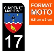 Load image into Gallery viewer, 17 CHARENTE MARITIME - Stickers pour plaque d'immatriculation, disponible pour AUTO et MOTO