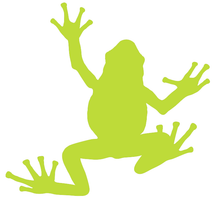 Load image into Gallery viewer, La rainette, disponible en 10 couleurs