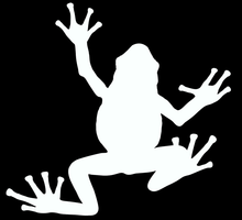 Load image into Gallery viewer, La rainette, disponible en 10 couleurs