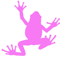 Load image into Gallery viewer, La rainette, disponible en 10 couleurs