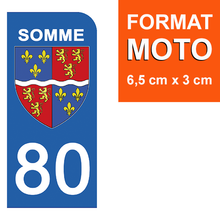 Load image into Gallery viewer, 80 SOMME - Stickers pour plaque d'immatriculation, disponible pour AUTO et MOTO