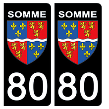 Load image into Gallery viewer, 80 SOMME - Stickers pour plaque d'immatriculation, disponible pour AUTO et MOTO