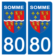 Load image into Gallery viewer, 80 SOMME - Stickers pour plaque d'immatriculation, disponible pour AUTO et MOTO
