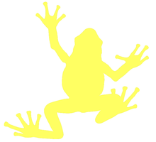 Load image into Gallery viewer, La rainette, disponible en 10 couleurs