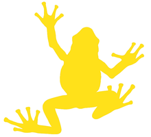 Load image into Gallery viewer, La rainette, disponible en 10 couleurs