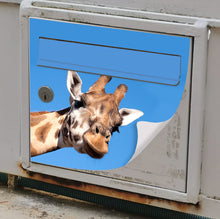 Load image into Gallery viewer, Customizable sticker for mailbox front