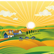 Load image into Gallery viewer, La campagne