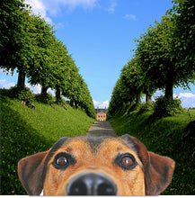 Load image into Gallery viewer, Le chien du chateau