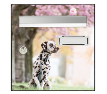 Load image into Gallery viewer, Sticker pour boîte aux lettres, chien Dalmatien