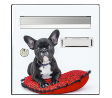 Load image into Gallery viewer, Sticker pour boîte aux lettres, chien Bouledogue