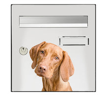 Load image into Gallery viewer, Sticker pour boîte aux lettres, chien