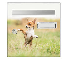 Load image into Gallery viewer, Sticker pour boîte aux lettres, Pas si petit
