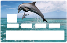 Charger l'image dans la galerie, Les Dauphins - sticker pour carte bancaire