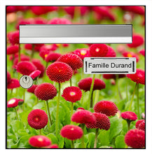 Load image into Gallery viewer, Sticker pour boîte aux lettres, Fleurs rouge