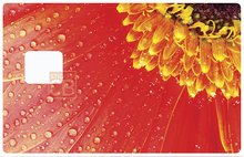 Charger l'image dans la galerie, Marguerite Rouge - Sticker pour carte bancaire, disponible en deux formats.