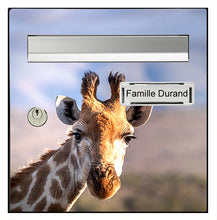 Load image into Gallery viewer, Girafe