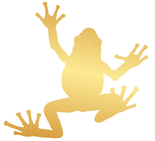 Load image into Gallery viewer, La rainette, disponible en 10 couleurs