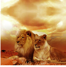 Load image into Gallery viewer, Lions