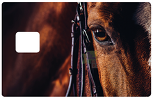 Load image into Gallery viewer, Cheval - Sticker pour carte bancaire, disponible en deux formats.