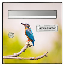 Load image into Gallery viewer, Martin Pecheur