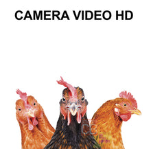 Load image into Gallery viewer, Caméra vidéo HD