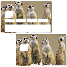 Load image into Gallery viewer, Les Suricates - Sticker pour carte bancaire, disponible en deux formats.