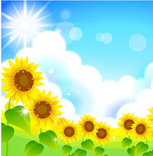 Load image into Gallery viewer, Tournesols