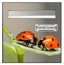 Load image into Gallery viewer, Les Coccinelles