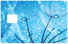 Charger l'image dans la galerie, Fleur de givre - Sticker pour carte bancaire, disponible en deux formats.