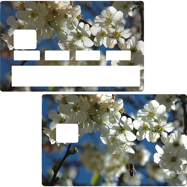 Les Fleurs de cerisiers - sticker pour carte bancaire – STICKERCB