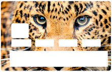 Load image into Gallery viewer, Tête de leopard - Sticker pour carte bancaire, disponible en deux formats.