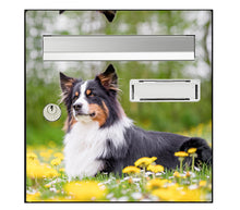 Load image into Gallery viewer, Sticker pour boîte aux lettres, chien Berger Australien