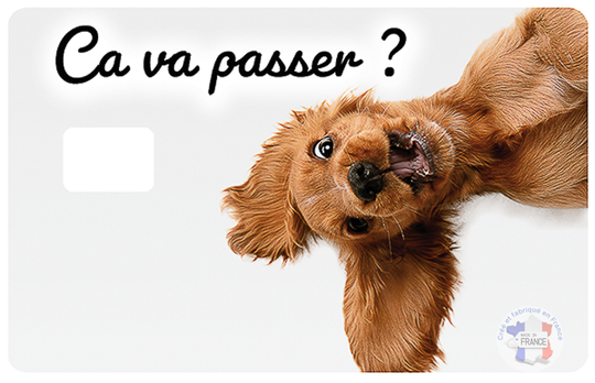 Ça va passer ? - sticker pour carte bancaire, format US